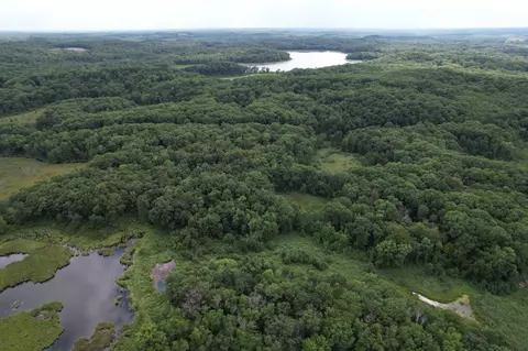 tbd 335th Ave, Cushing, MN 56443 photo 2