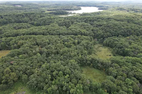 tbd 335th Ave, Cushing, MN 56443 photo 3