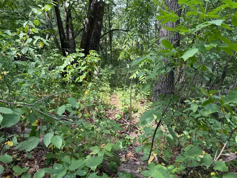 tbd 335th Ave, Cushing, MN 56443 photo 25