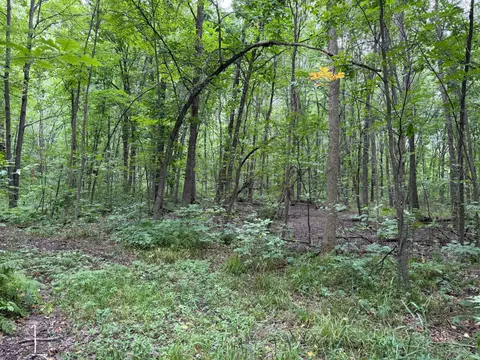 tbd 335th Ave, Cushing, MN 56443 photo 33