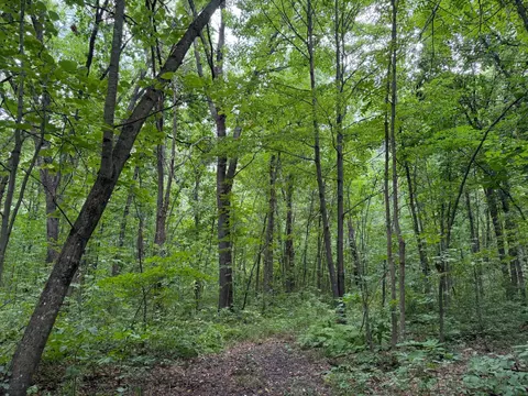 tbd 335th Ave, Cushing, MN 56443 photo 34