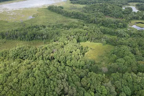 tbd 335th Ave, Cushing, MN 56443 photo 16