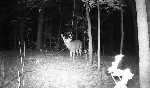tbd 335th Ave, Cushing, MN 56443 photo 66