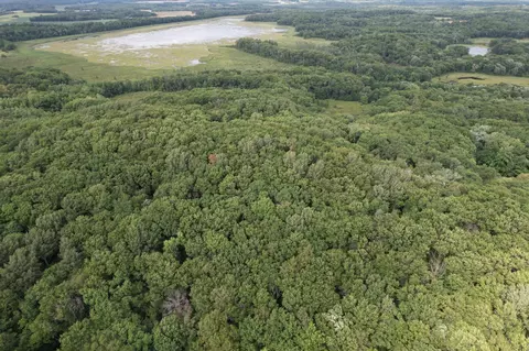 tbd 335th Ave, Cushing, MN 56443 photo 15