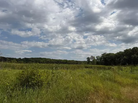 tbd 335th Ave, Cushing, MN 56443 photo 19