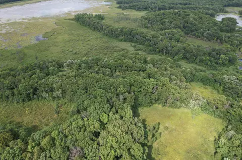 tbd 335th Ave, Cushing, MN 56443 photo 17