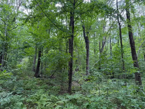 tbd 335th Ave, Cushing, MN 56443 photo 35