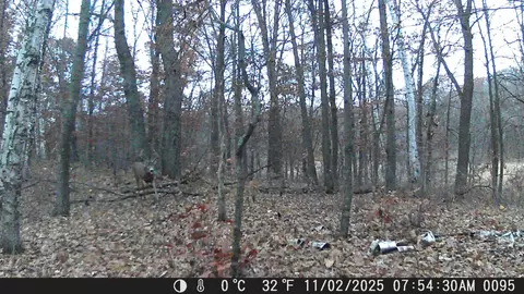 tbd 335th Ave, Cushing, MN 56443 photo 71