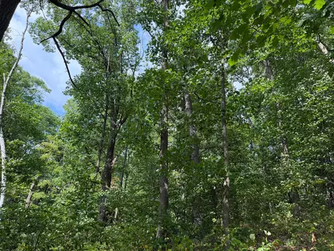 tbd 335th Ave, Cushing, MN 56443 photo 57