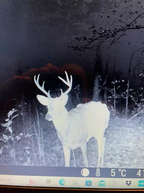 tbd 335th Ave, Cushing, MN 56443 photo 76