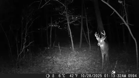 tbd 335th Ave, Cushing, MN 56443 photo 68