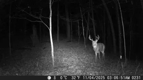tbd 335th Ave, Cushing, MN 56443 photo 69