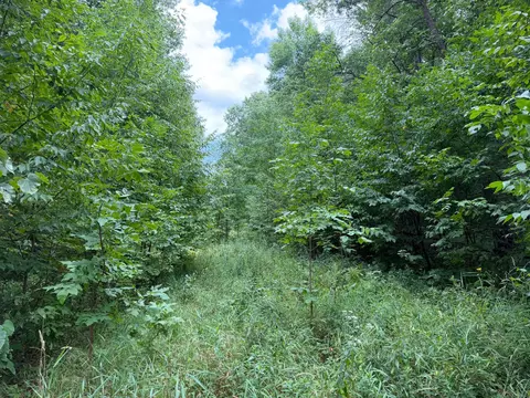 tbd 335th Ave, Cushing, MN 56443 photo 36