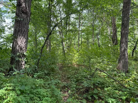 tbd 335th Ave, Cushing, MN 56443 photo 27