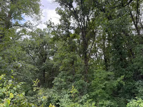 tbd 335th Ave, Cushing, MN 56443 photo 31