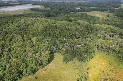 tbd 335th Ave, Cushing, MN 56443 photo 14