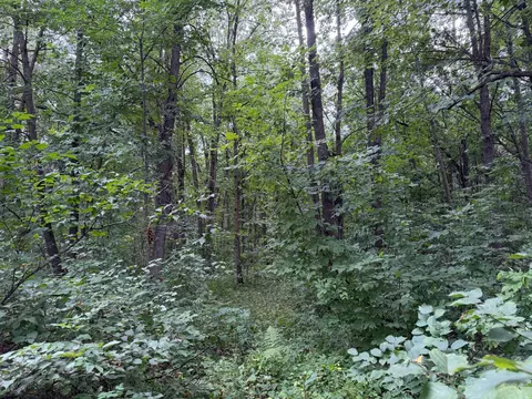 tbd 335th Ave, Cushing, MN 56443 photo 32