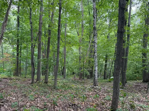 tbd 335th Ave, Cushing, MN 56443 photo 62