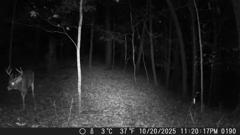 tbd 335th Ave, Cushing, MN 56443 photo 72