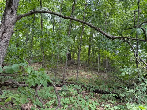tbd 335th Ave, Cushing, MN 56443 photo 29