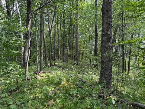 tbd 335th Ave, Cushing, MN 56443 photo 51