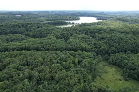 tbd 335th Ave, Cushing, MN 56443 photo 4