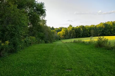 Other - 33324 155th Ave, Boyd, WI 54726 photo 18 of 24