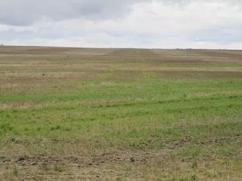 tbd Tbd, Sarles, ND 58339