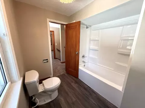 Bath - 220 2nd St E, Morgan, MN 56266 photo 3 of 4