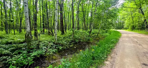tbd Dawson Rd NW, Angle Inlet, MN 56711 photo 5