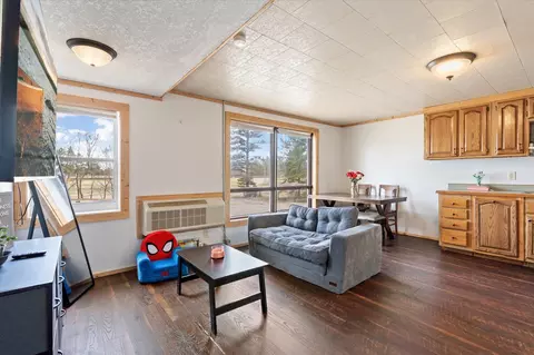 Other - 450 Murray Ave, Pine River, MN 56474 photo 11 of 14