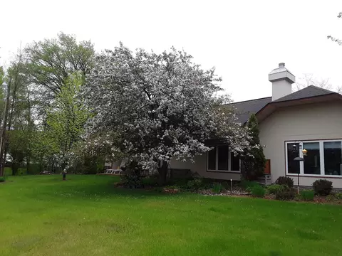 Exterior - 313 5th St, Pine River, MN 56474 photo 19 of 19