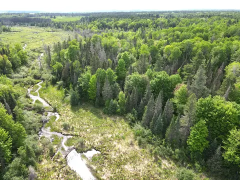lot1 Smith Rd N, Couderay, WI 54828