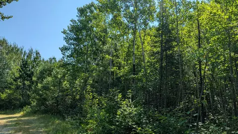 tbd Kennedy Rd, Cook, MN 55723 photo 3