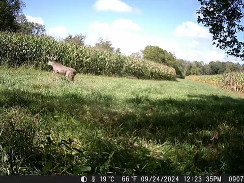 tbd Deer Rd, Canton, MN 55922 photo 9