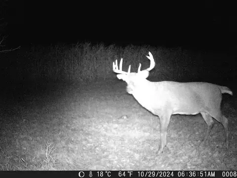 tbd Deer Rd, Canton, MN 55922 photo 15