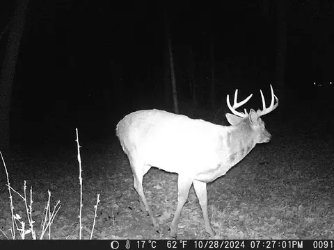 tbd Deer Rd, Canton, MN 55922 photo 12