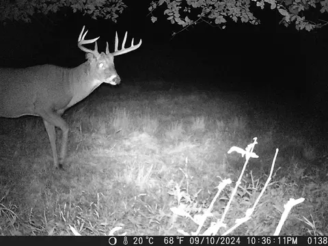 tbd Deer Rd, Canton, MN 55922 photo 13