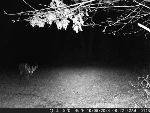 tbd Deer Rd, Canton, MN 55922 photo 17