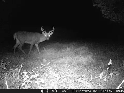tbd Deer Rd, Canton, MN 55922 photo 10