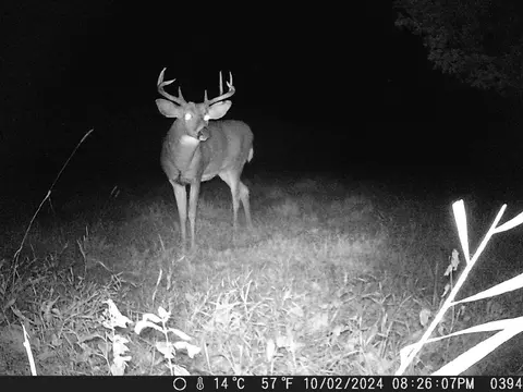 tbd Deer Rd, Canton, MN 55922 photo 8