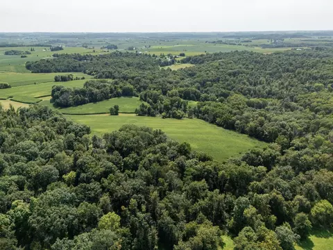 tbd Deer Rd, Canton, MN 55922 photo 6