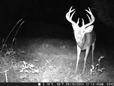 tbd Deer Rd, Canton, MN 55922 photo 16