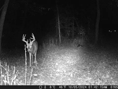 tbd Deer Rd, Canton, MN 55922 photo 11