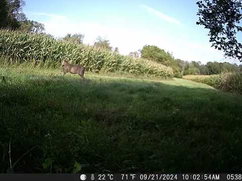 tbd Deer Rd, Canton, MN 55922 photo 7