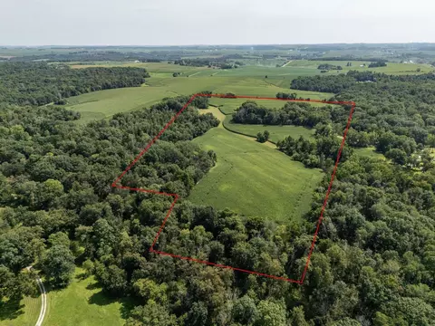 tbd Deer Rd, Canton, MN 55922 photo 4