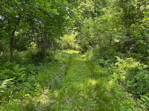 00 Dopp, Ettrick, WI 54627 photo 32