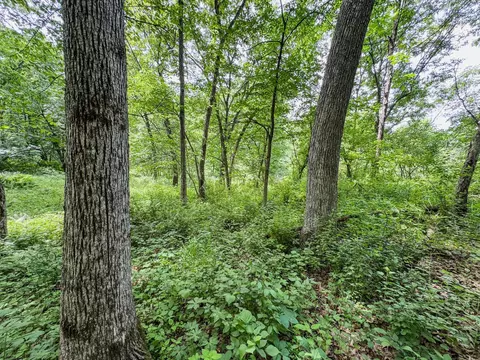 00 Dopp, Ettrick, WI 54627 photo 16