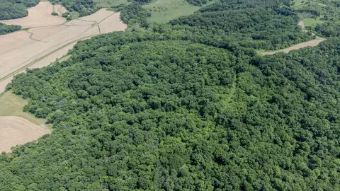 00 Dopp, Ettrick, WI 54627 photo 11