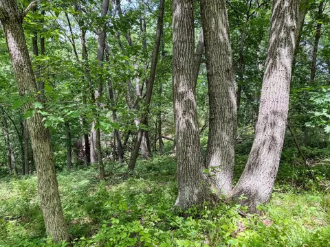 00 Dopp, Ettrick, WI 54627 photo 17